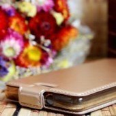 Чехол для Huawei Ascend Y6 блокнот Experts Slim Flip Case LS, золотой - фото